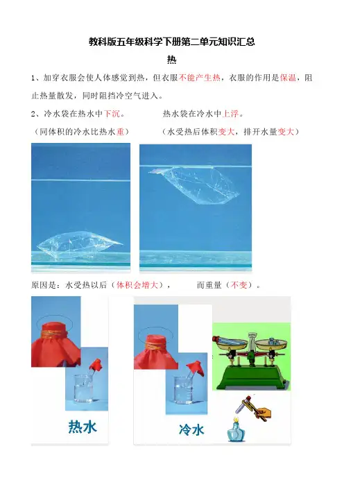 教科版五年级科学下册第二单元知识汇总