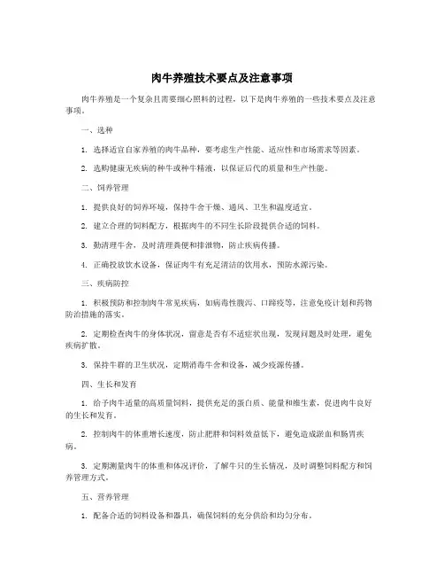 肉牛养殖技术要点及注意事项