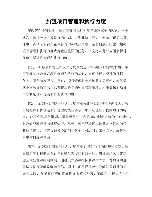 加强项目管理和执行力度