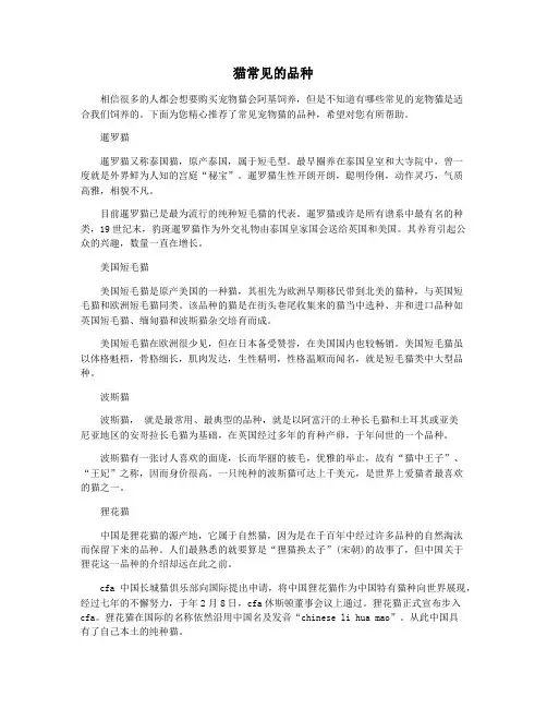 猫常见的品种