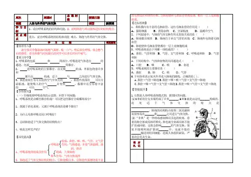 人体与外界的气体交换1