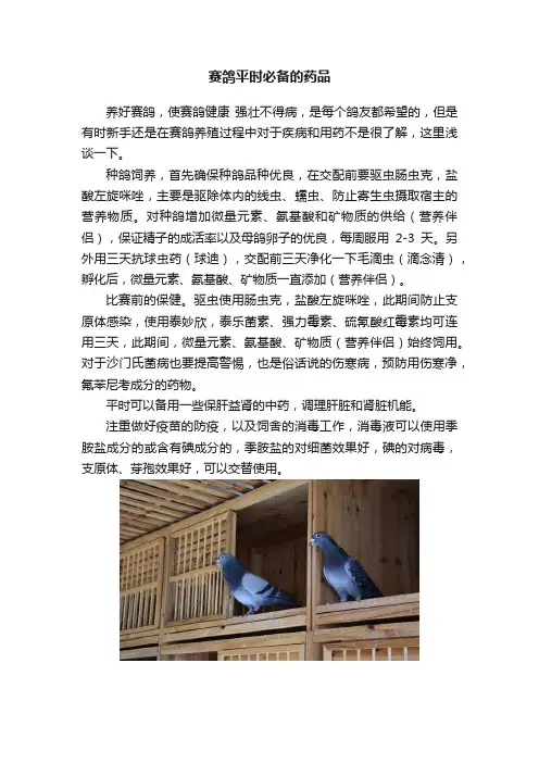 赛鸽平时必备的药品