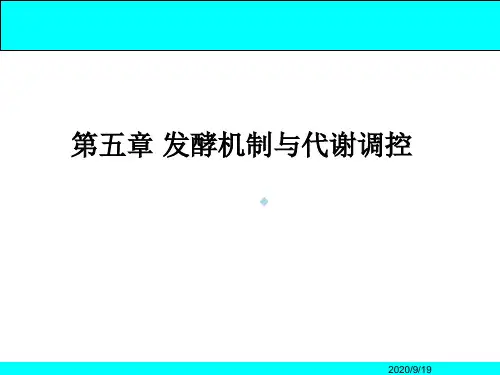 第五章发酵机制与代谢调控