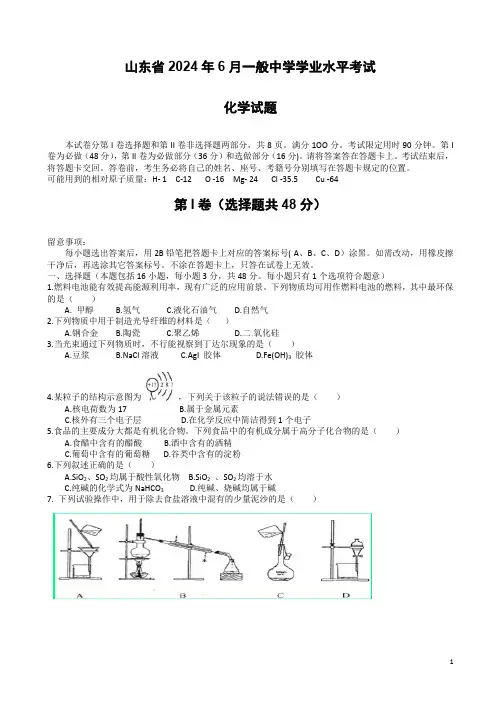 山东省2024年夏季普通高中学业水平考试化学试题