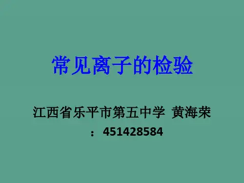 常见离子的检验ppt课件