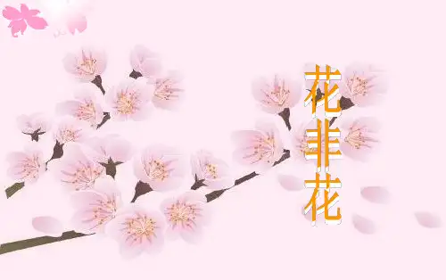 最新人音版六年级下册音乐《花非花》课件(新教材)