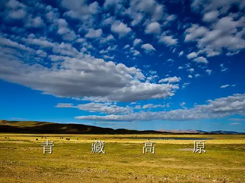 新人教版九年级上册音乐课件 第6单元：青藏高原(共21张PPT)