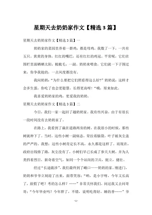 星期天去奶奶家作文【精选3篇】