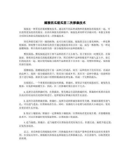 嫁接西瓜甜瓜苗二次移栽技术