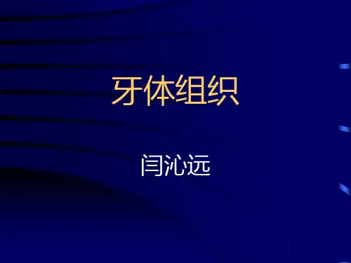 第一章 牙体组织  口腔组织病理学