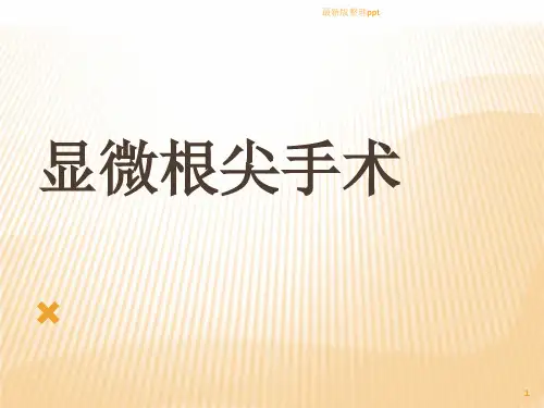 显微根尖手术ppt课件