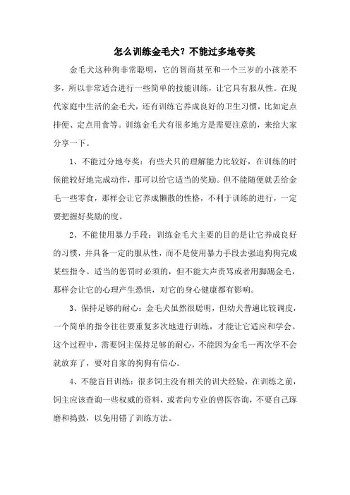 怎么训练金毛犬？不能过多地夸奖
