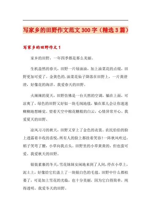 写家乡的田野作文范文300字(精选3篇)