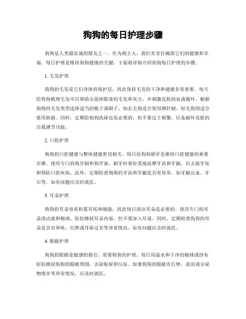 狗狗的每日护理步骤