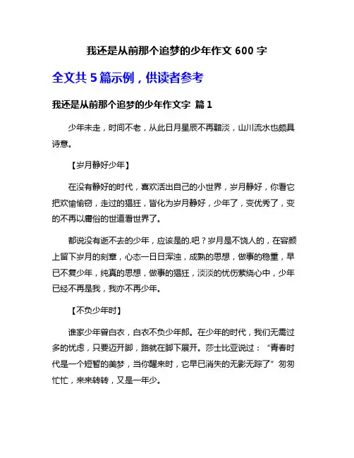 我还是从前那个追梦的少年作文600字
