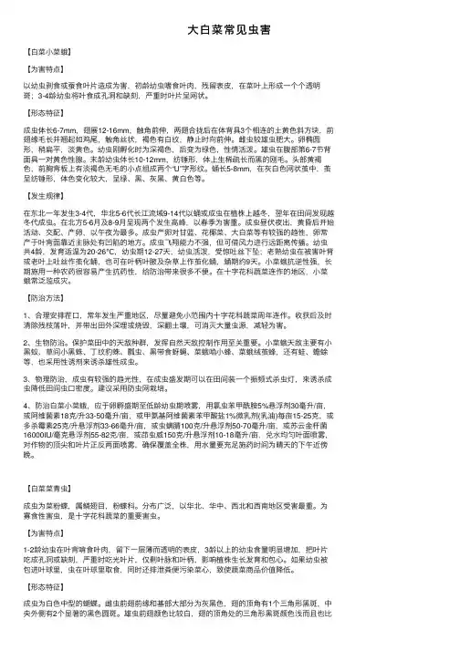 大白菜常见虫害