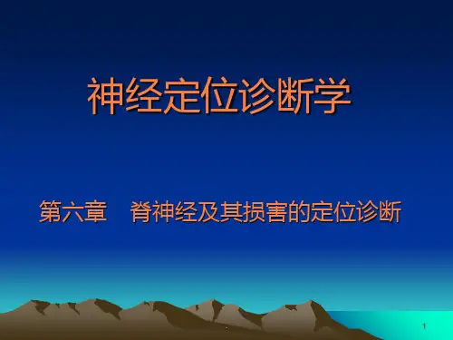 脊神经的定位诊断ppt课件
