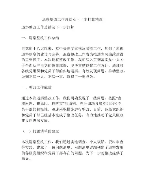 巡察整改工作总结及下一步打算精选