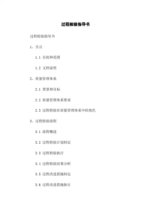 过程检验指导书