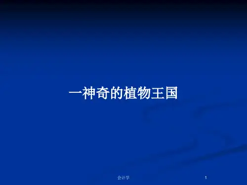 一神奇的植物王国PPT教案