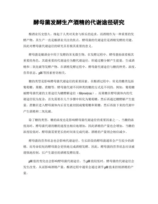 酵母菌发酵生产酒精的代谢途径研究