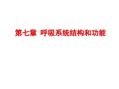人体解剖生理学：第七章 呼吸系统结构和功能