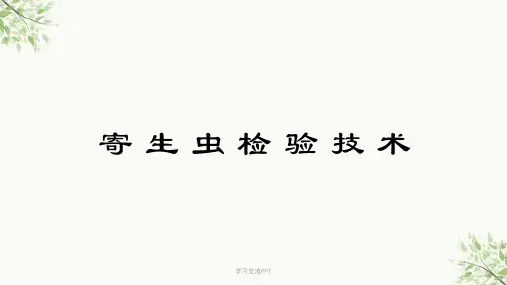 寄生虫检验4-吸虫纲课件