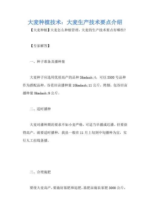 大麦种植技术：大麦生产技术要点介绍