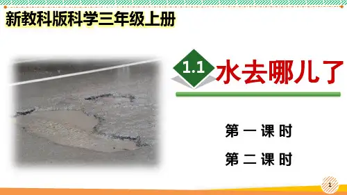 新教科版科学三年级上册《水去哪儿了》优质课件