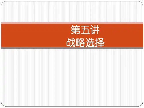 战略选择培训课件(PPT 45页)