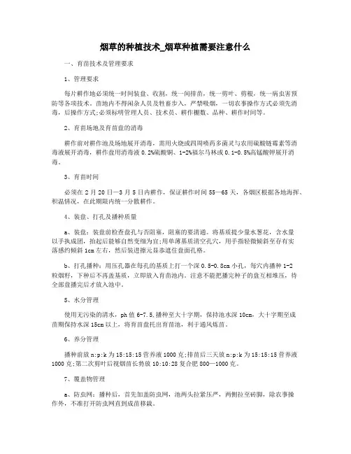 烟草的种植技术_烟草种植需要注意什么