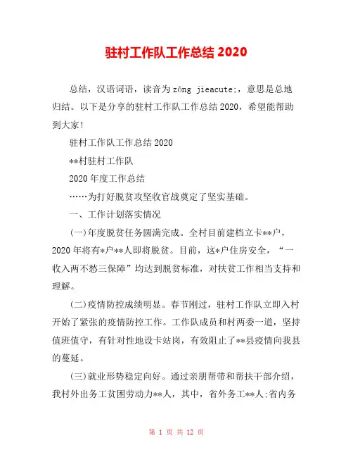 驻村工作队工作总结2020