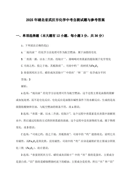 湖北省武汉市化学中考2025年自测试题与参考答案