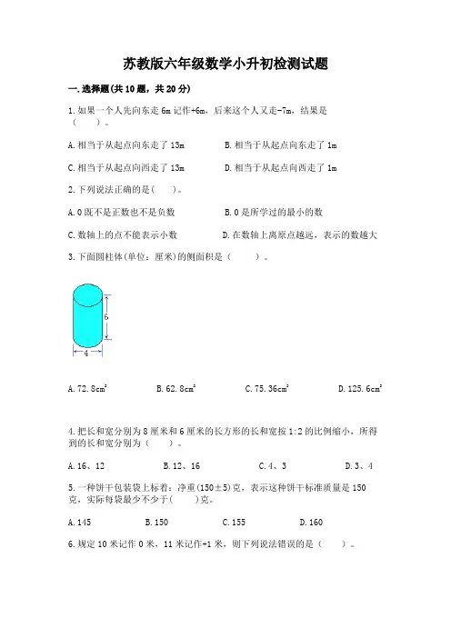 苏教版六年级数学小升初检测试题附参考答案(考试直接用)