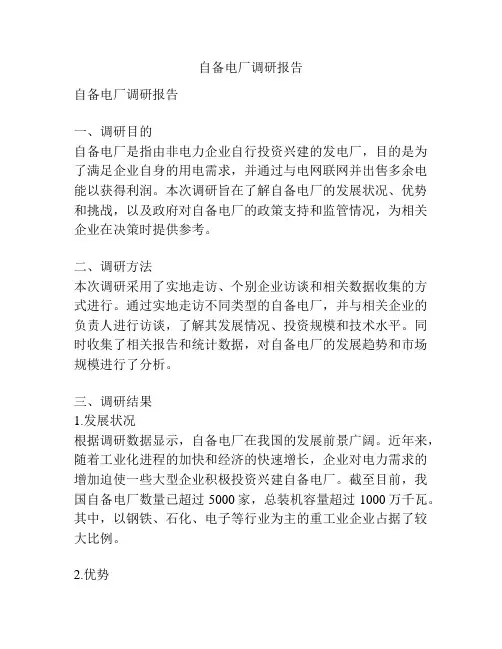 自备电厂调研报告