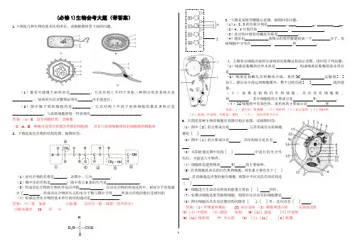 高中生物会考复习必修一大题(带答案)
