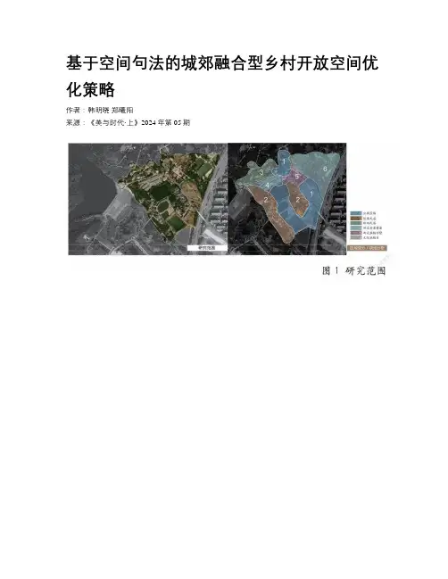 基于空间句法的城郊融合型乡村开放空间优化策略