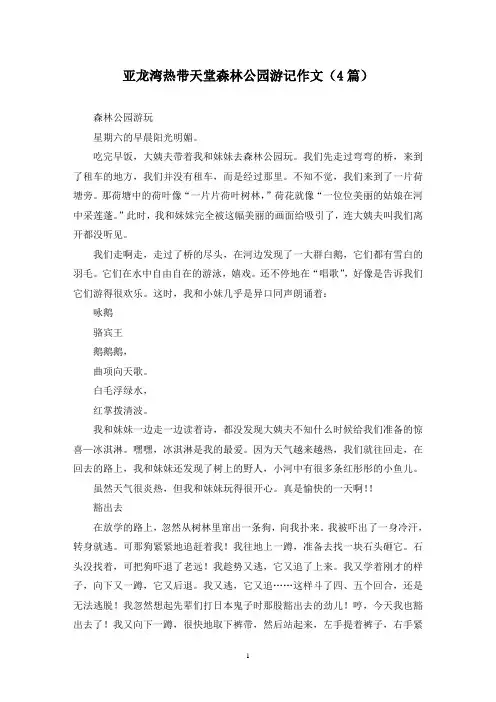 亚龙湾热带天堂森林公园游记作文(4篇)