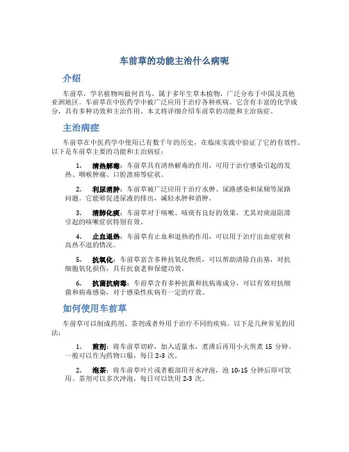 车前草的功能主治什么病呢