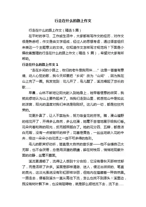 行走在什么的路上作文