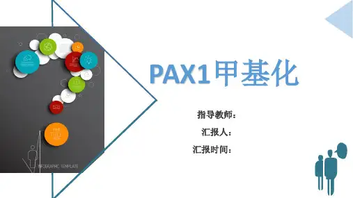 PAX1甲基化