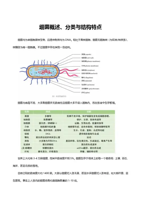 (优质)细菌概述、分类与结构特点