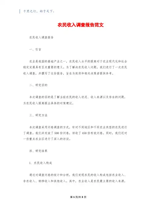 农民收入调查报告范文