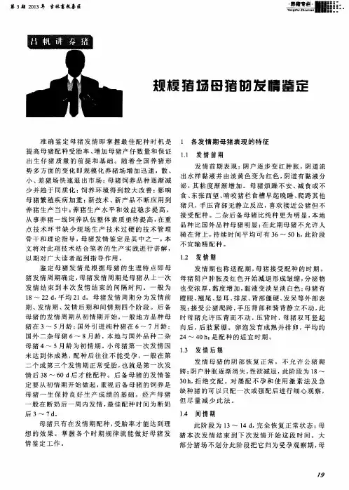 规模猪场母猪的发情鉴定