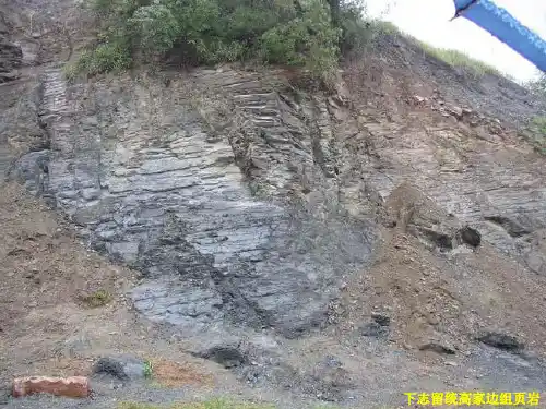 巢湖地质实习典型地层图片ppt课件