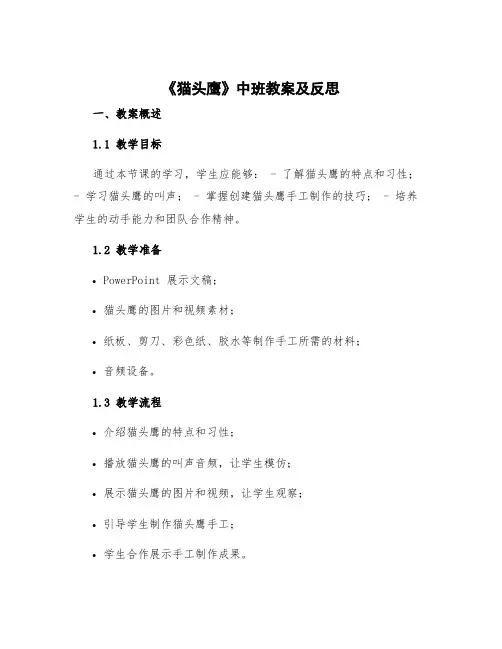 《猫头鹰》中班教案及反思