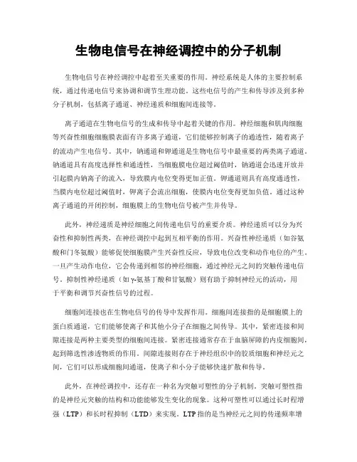 生物电信号在神经调控中的分子机制