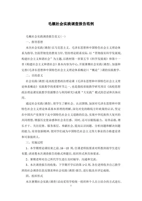 毛概社会实践调查报告范例
