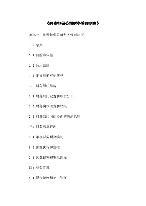 《融资担保公司财务管理制度》