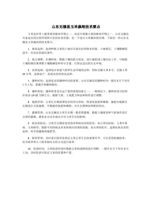 山东无棣县玉米栽培技术要点